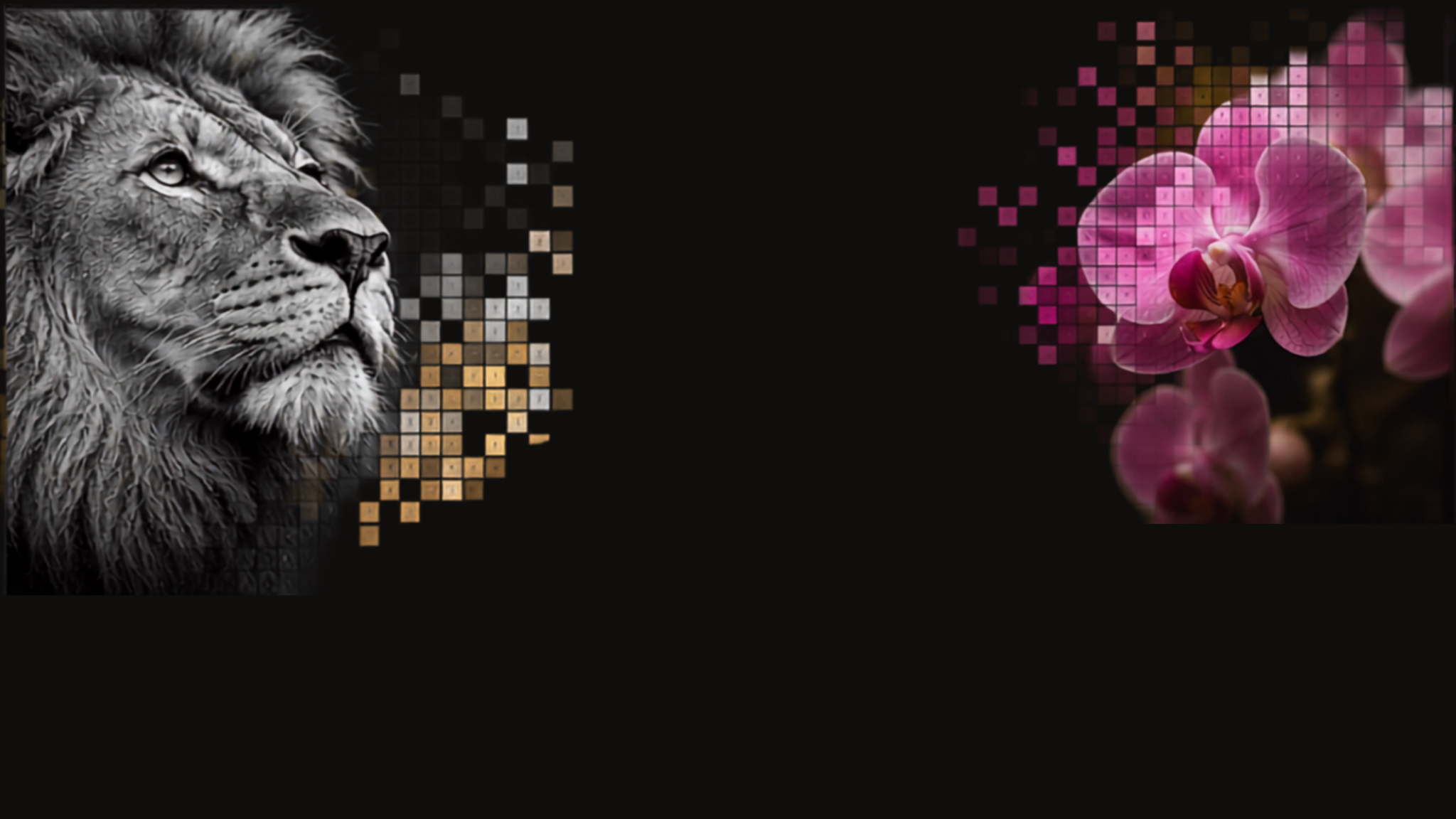 Lion and orchid dissolving into pixels